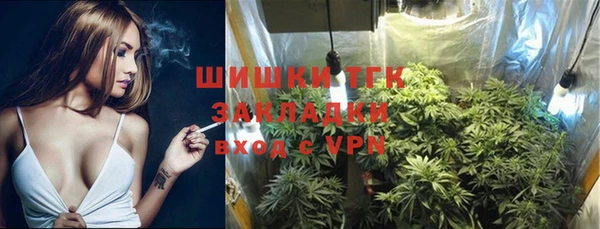ГАЛЛЮЦИНОГЕННЫЕ ГРИБЫ Алзамай
