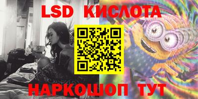 Альфа ПВП Кудрово