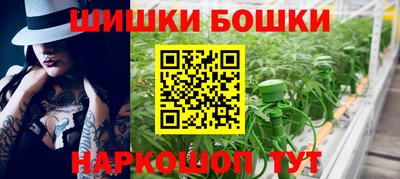 сатива Кузнецк