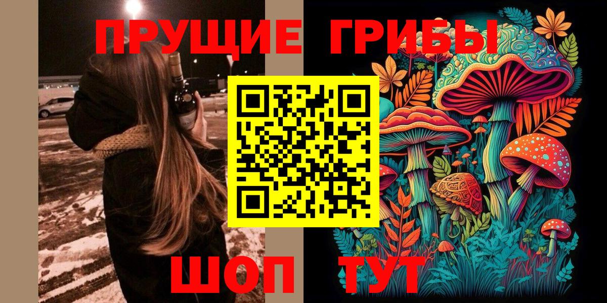 Старая Купавна  Галлюциногенные грибы GOLDEN TEACHER  Вход с VPN 